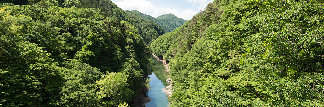 片品川